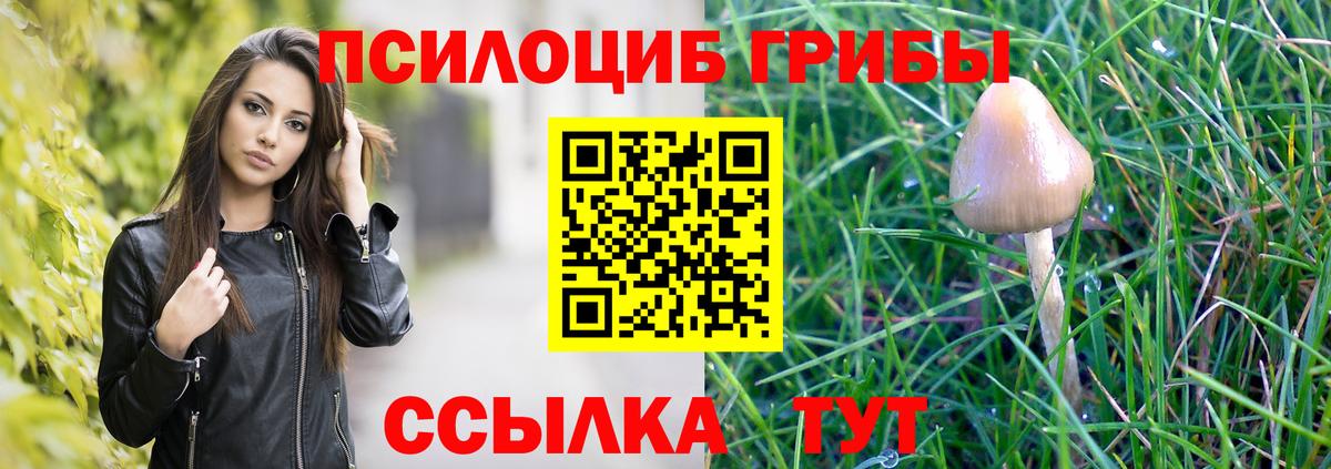 Галлюциногенные грибы GOLDEN TEACHER Каменск-Уральский
